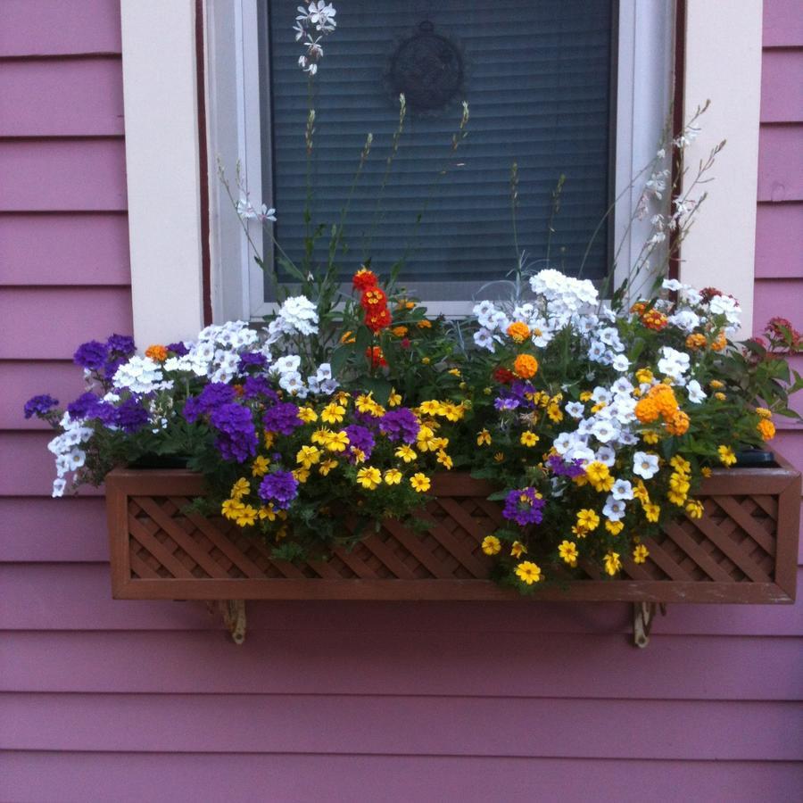 Rose & Thistle Bed & Breakfast Cooperstown Εξωτερικό φωτογραφία