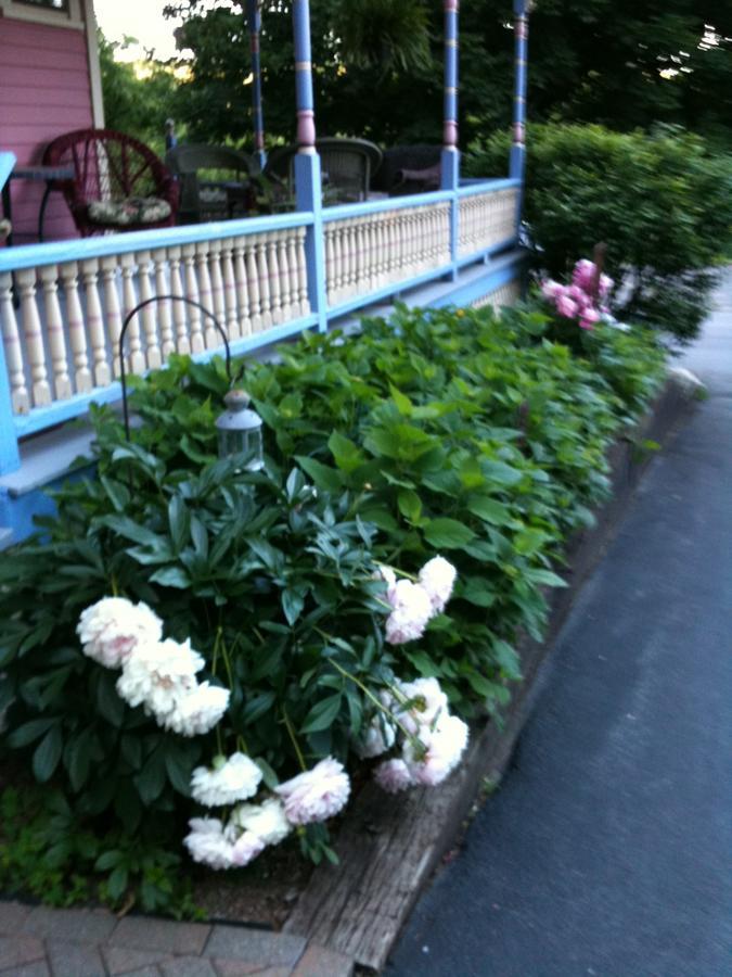 Rose & Thistle Bed & Breakfast Cooperstown Εξωτερικό φωτογραφία